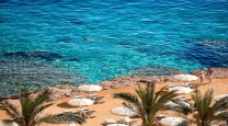 جزيرة أبو منقار  